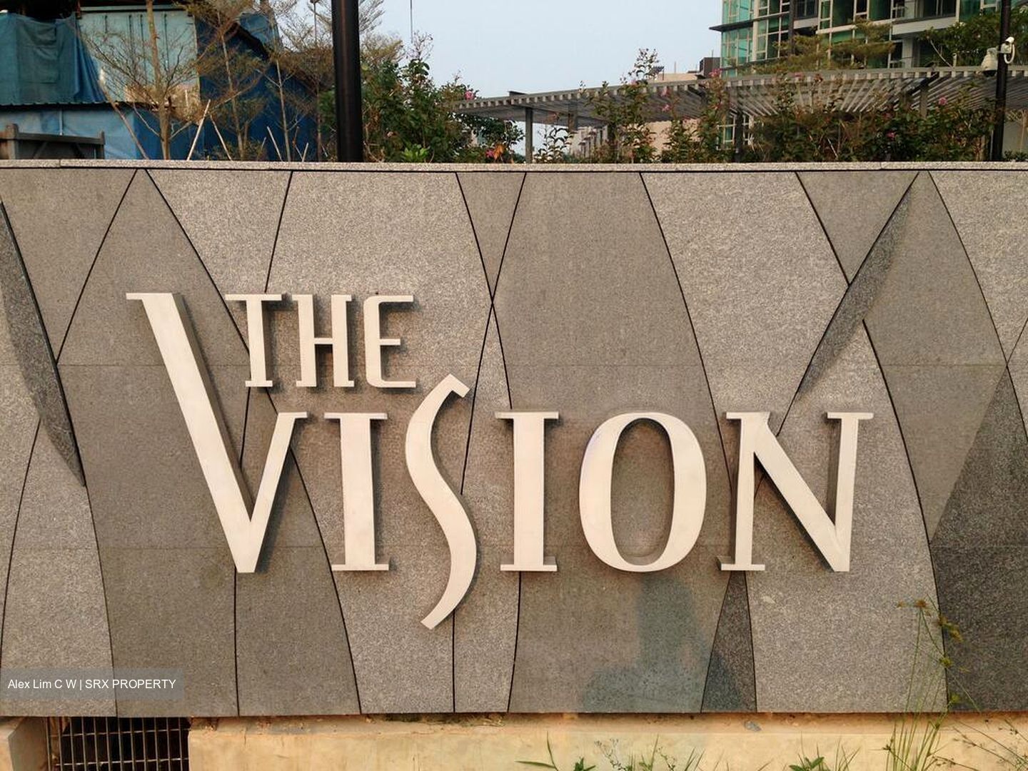 The Vision (D5), Condominium #499988241